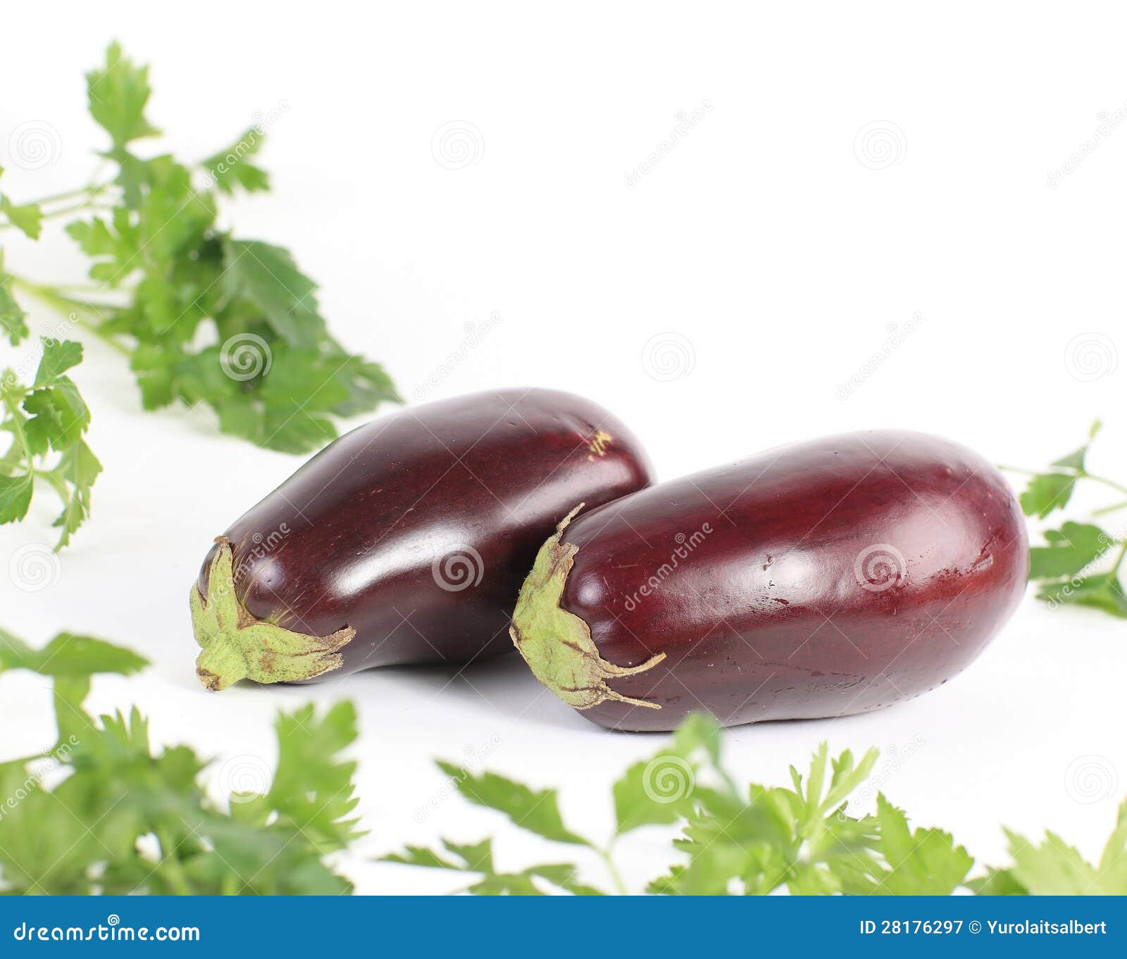 Eggplant vegetable stock image. Image of aubergine, green 28176297