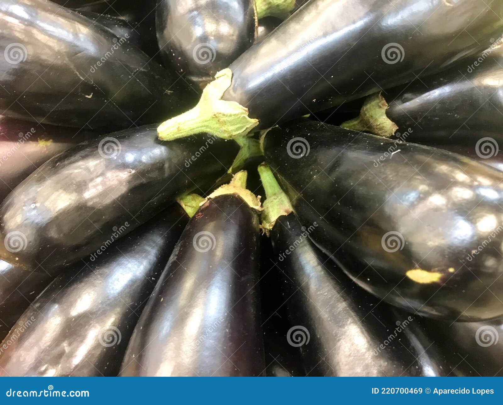 Eggplants on a plate stock image. Image of rich, courgette 220700469