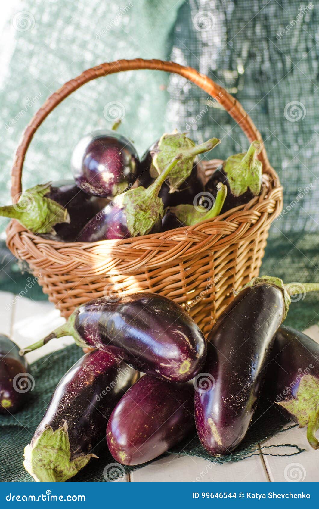Eggplants in a basket stock photo. Image of color, harvest 99646544