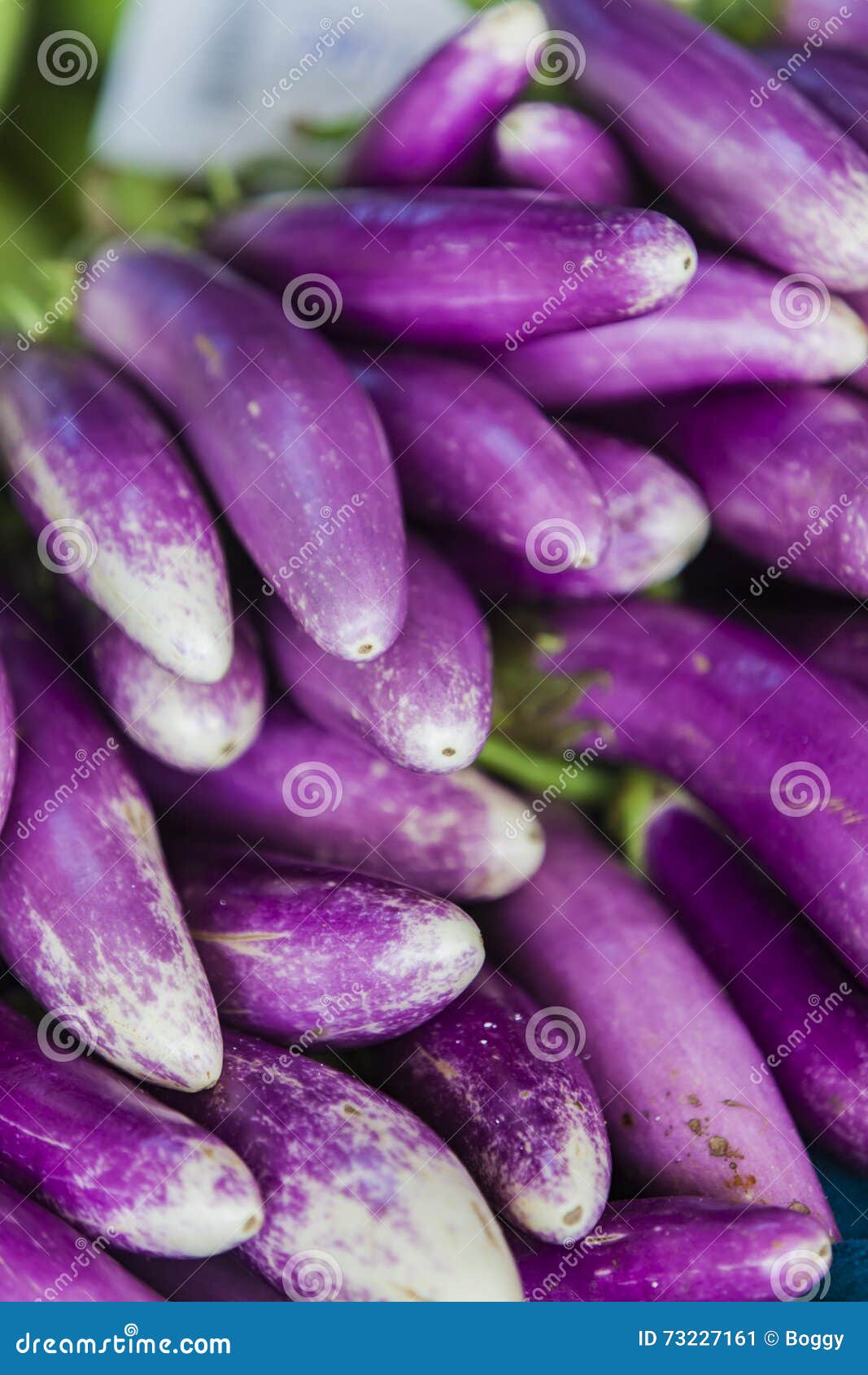 Eggplants on the Market in Mumbai, India Stock Image Image of