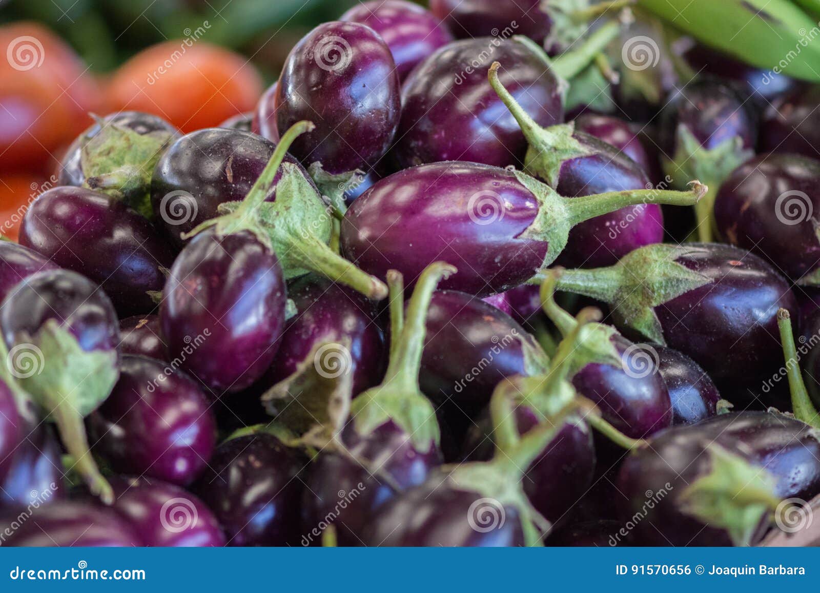 Eggplants at a Mexican Market Stock Photo Image of kitchen