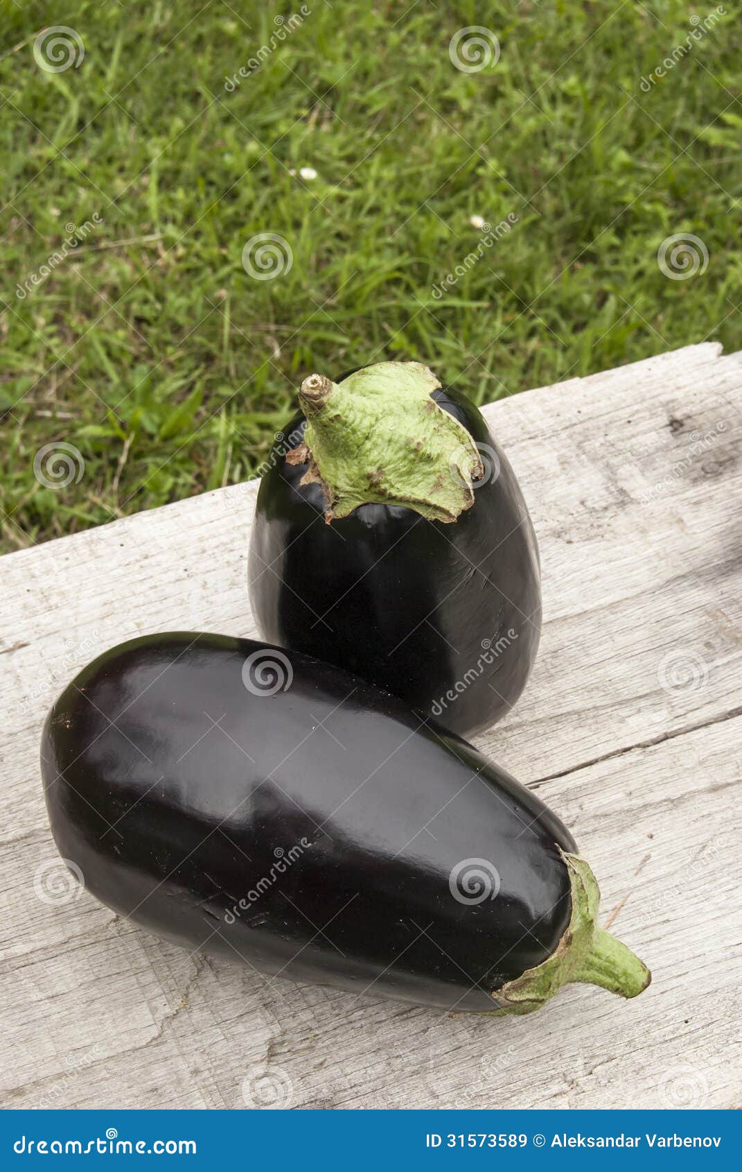 Eggplants and zucchini stock image. Image of healthy 31573589