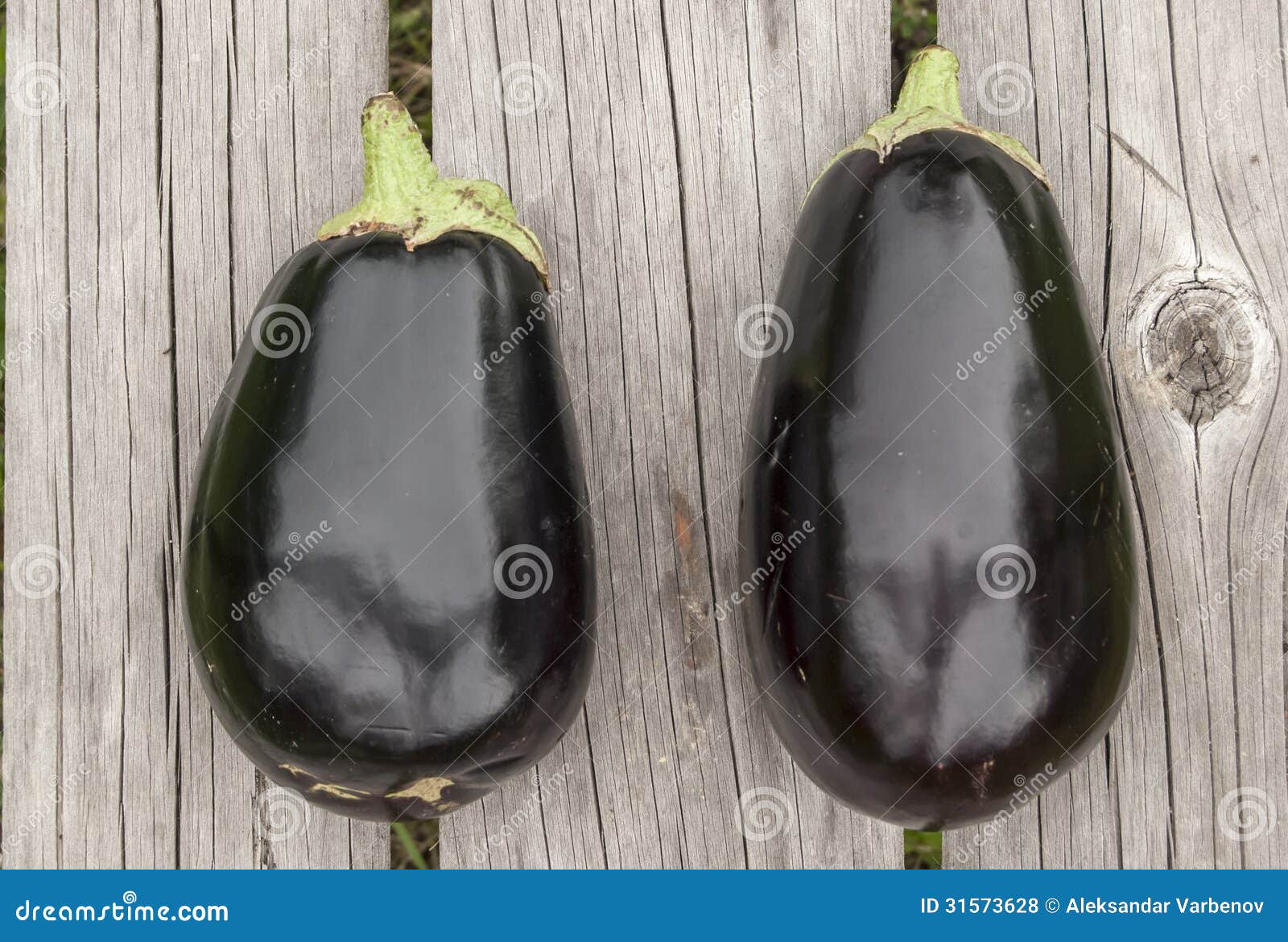 Eggplants and zucchini stock photo. Image of eggplant 31573628