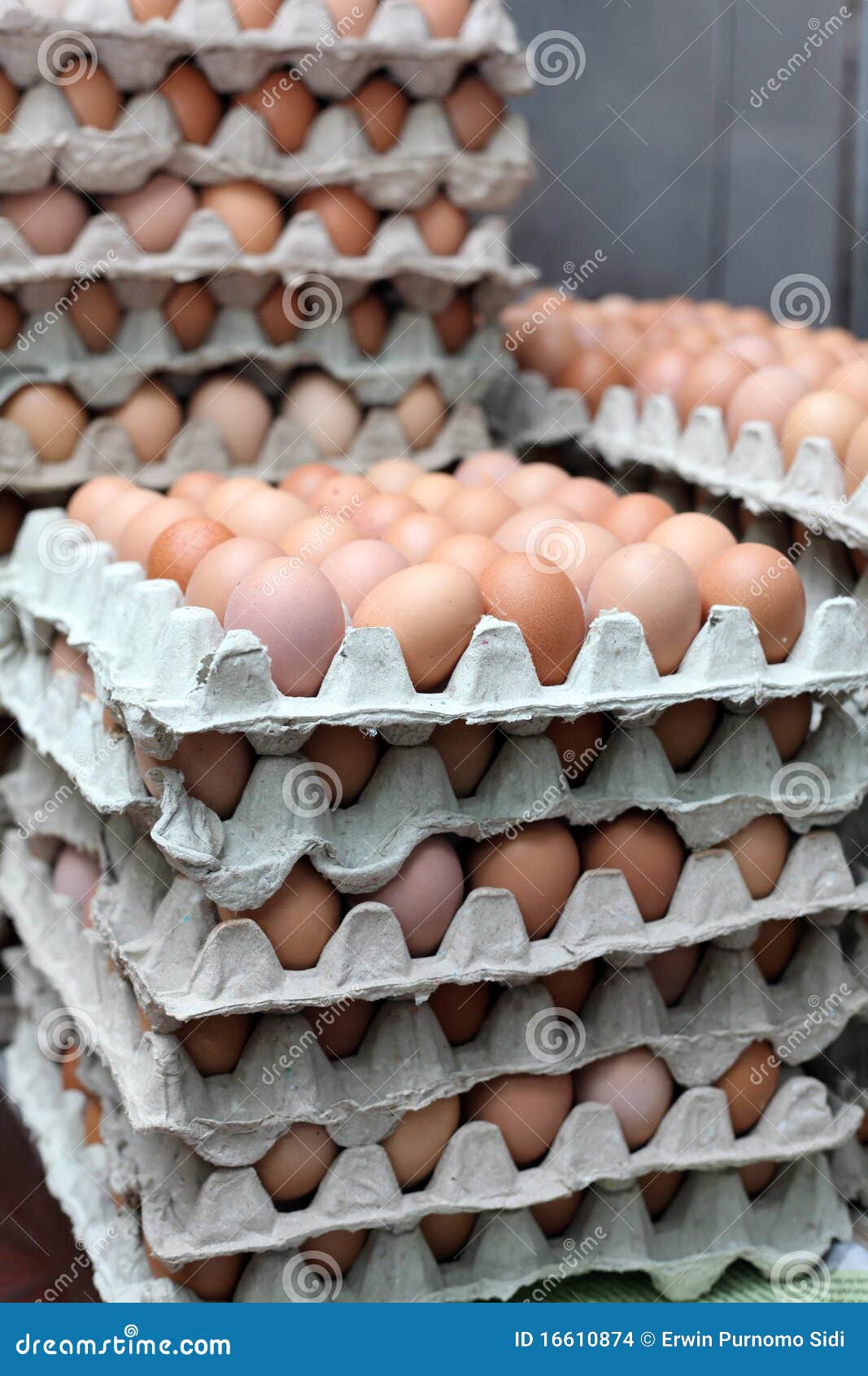 Eggs stock photo. Image of ware, eggs, chicken, group 16610874