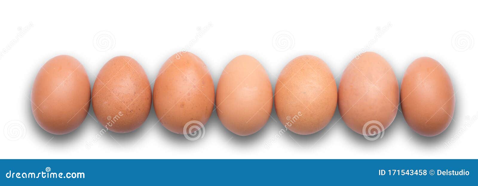 eggs aligned in a row on panoramic background