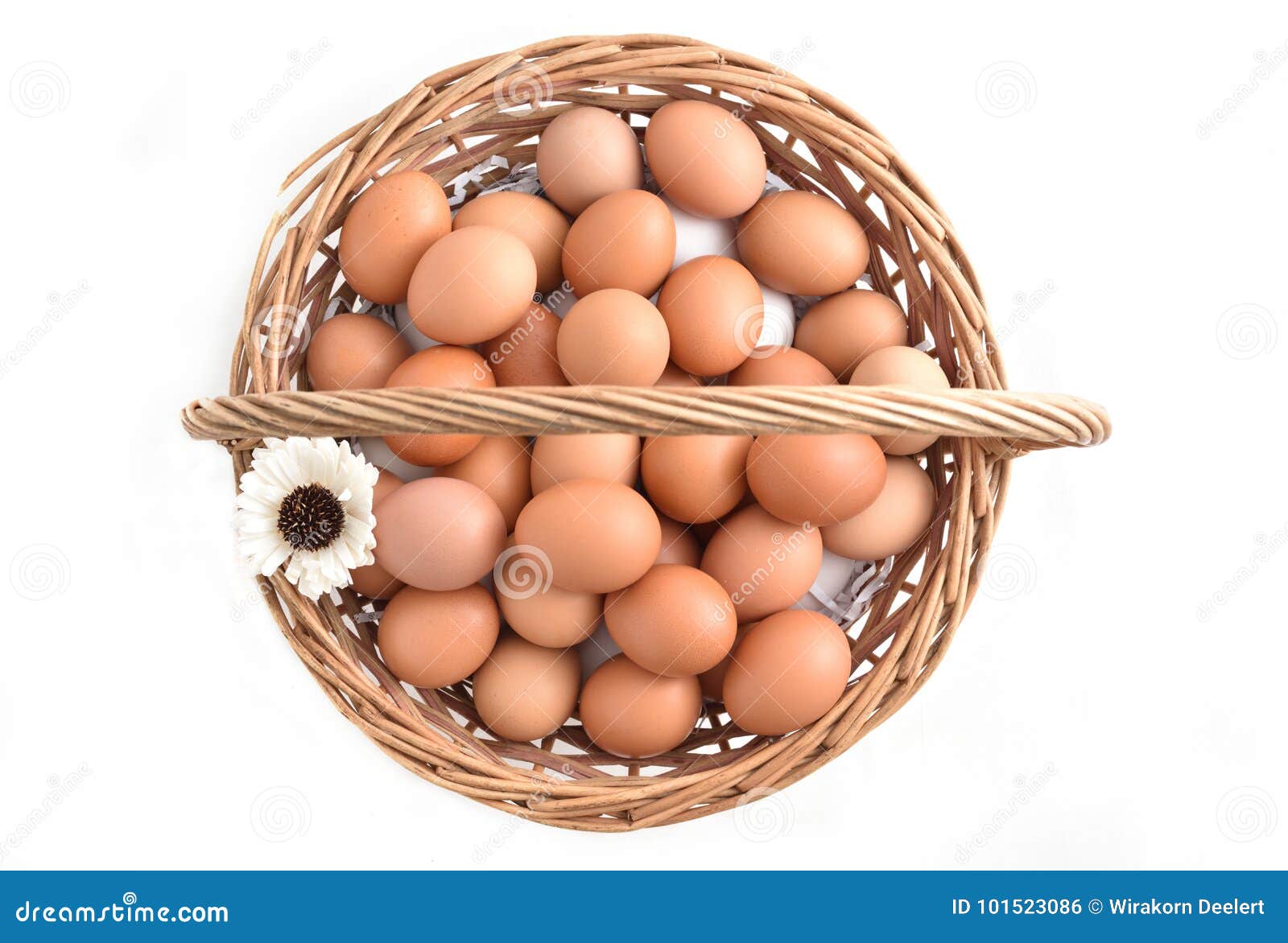 Eggs in Basket Filled Isolated on White Background Stock Photo Image