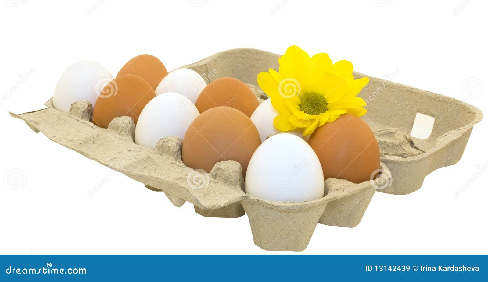 Eggs in a cardboard stock image. Image of background 13142439