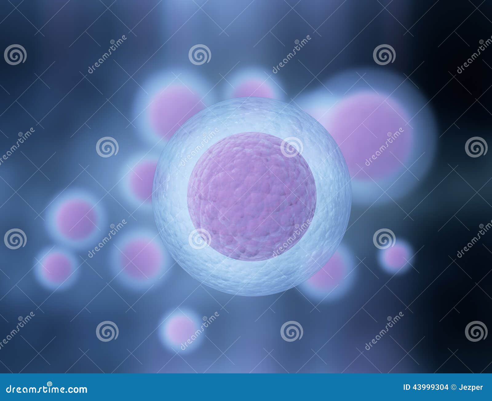 Eggs cells stock illustration. Illustration of life, prokaryote 43999304
