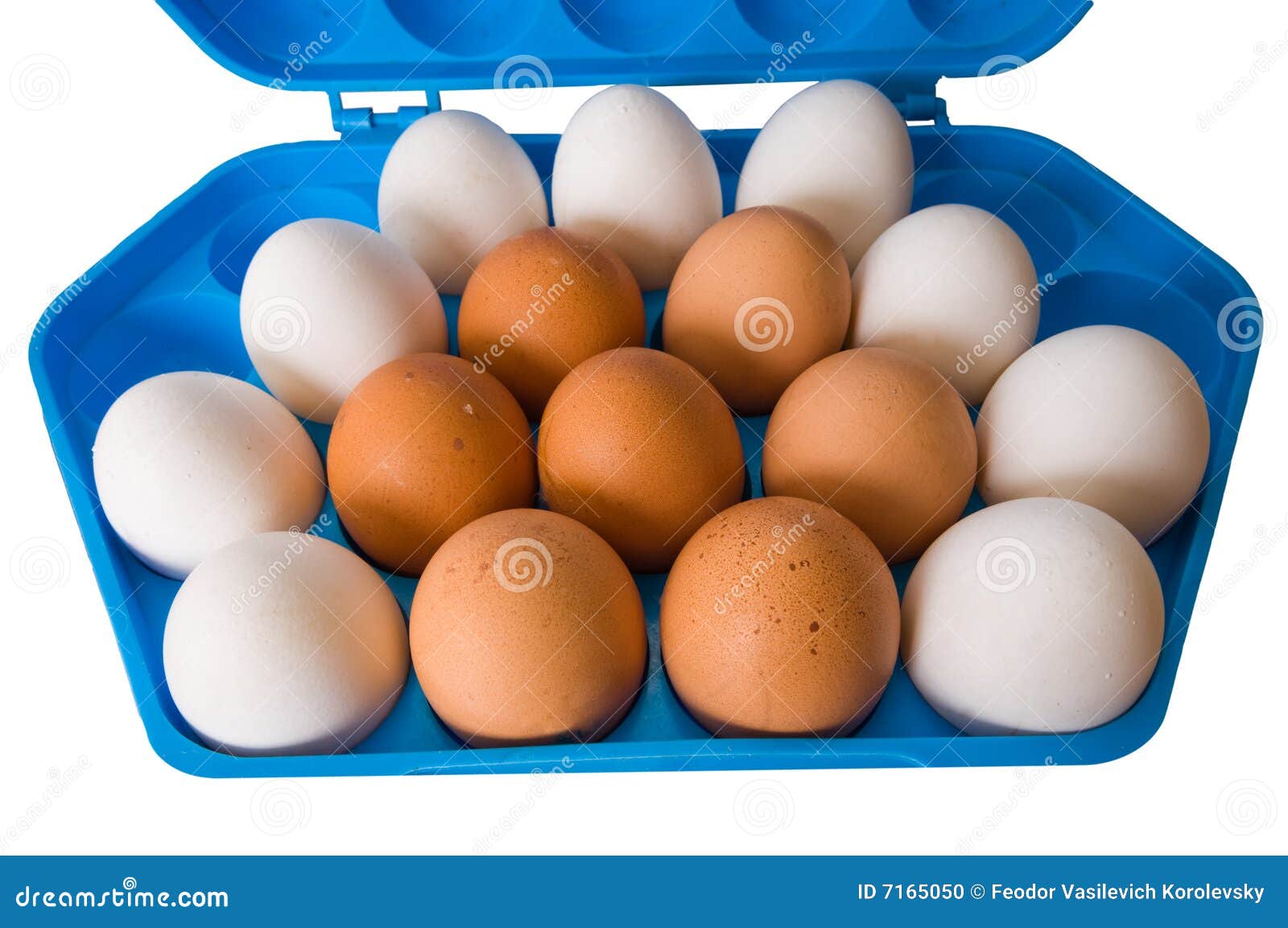 Eggs and the Dark Blue Container. Stock Photo Image of isolated