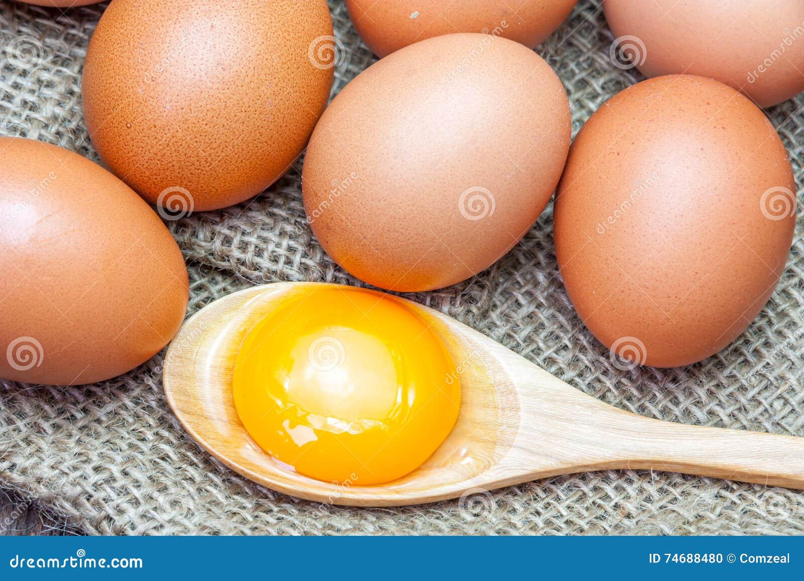 Eggs and Egg Yolks on Brown Sackcloth Stock Photo Image of organic