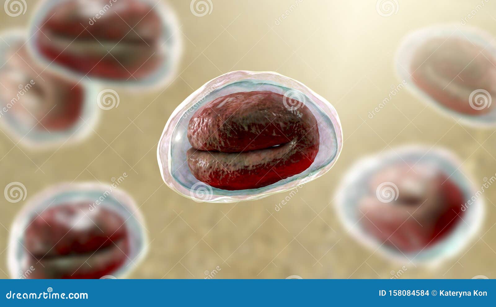 Hamarosan jön a hpv kúra
