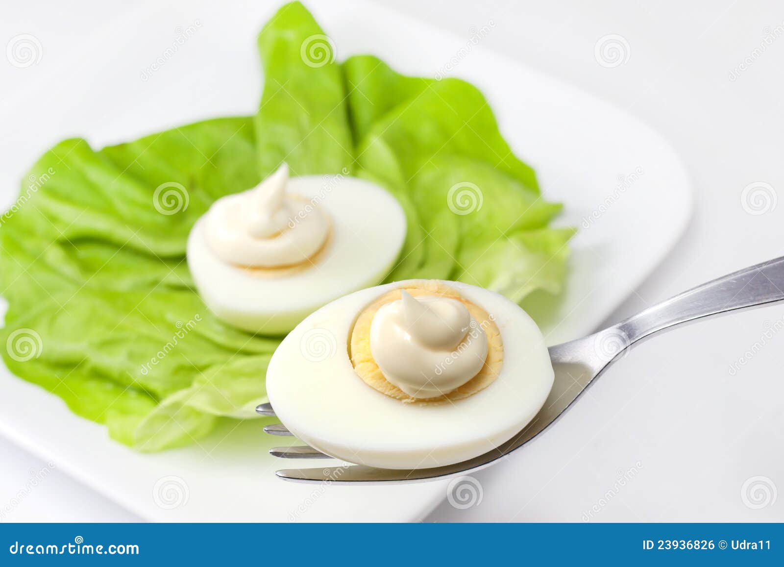 Eggs and mayonnaise stock photo. Image of nature, eggs 23936826