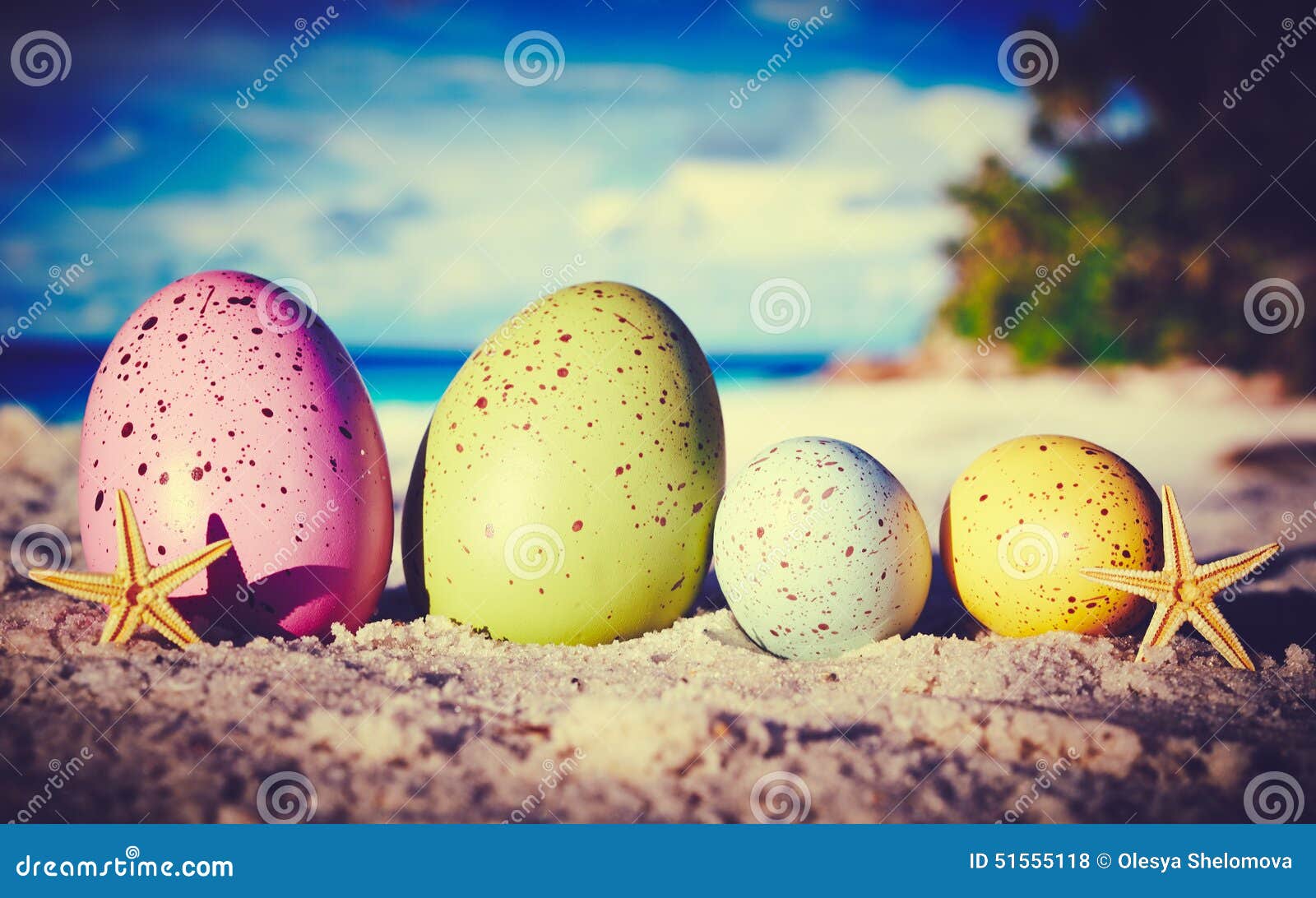 Eggs on ocean beach stock photo. Image of recreation 51555118
