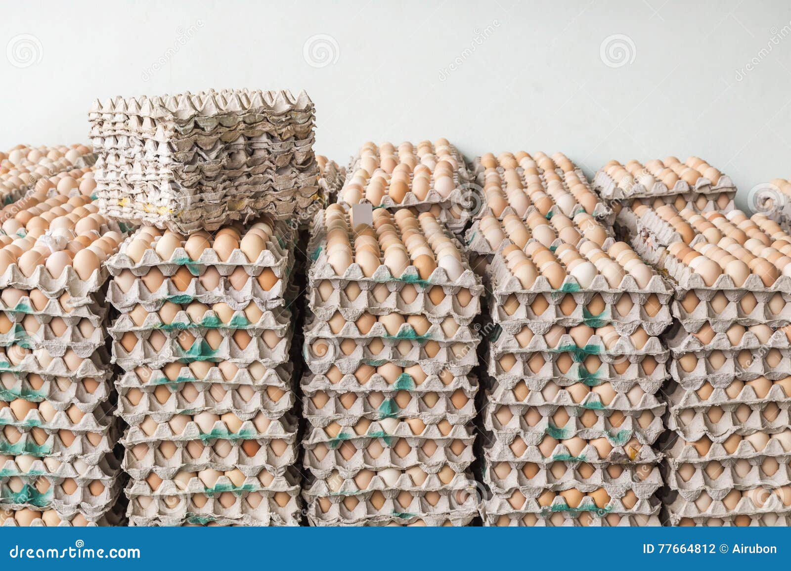Eggs in Paper Trays Package Stock Photo Image of cooking, eggshell