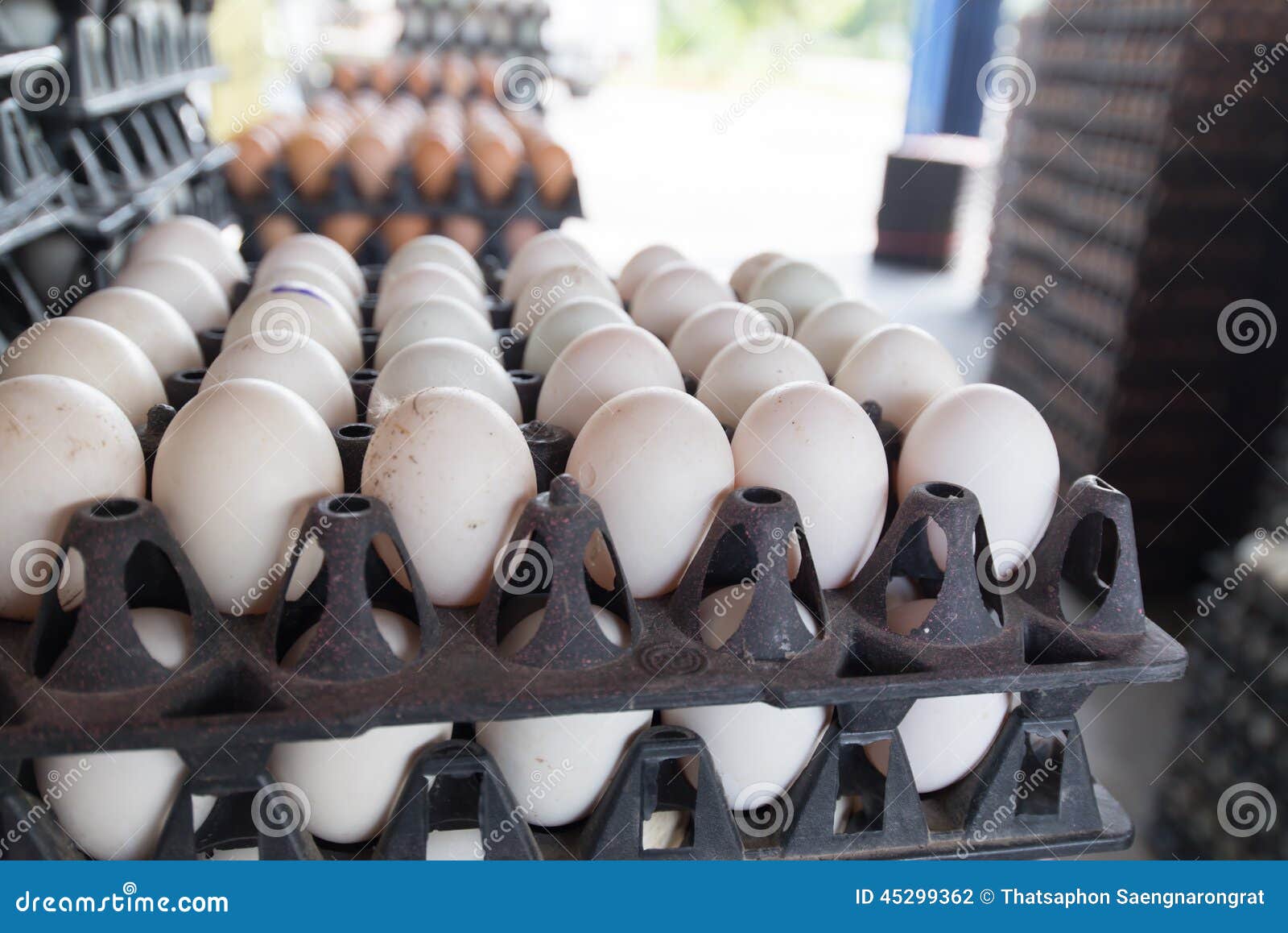 Eggs Preserved in Panel Wholesale Market Stock Photo Image of