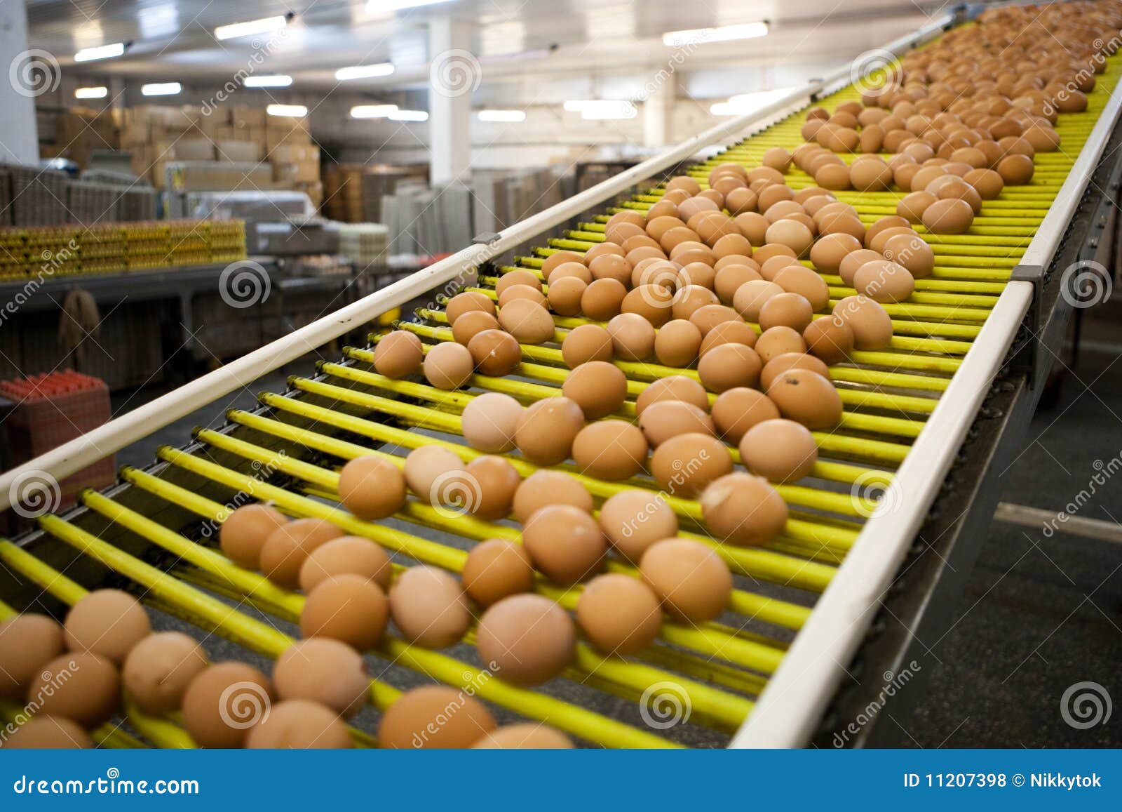 Eggs production line stock photo. Image of eggs, machine 11207398