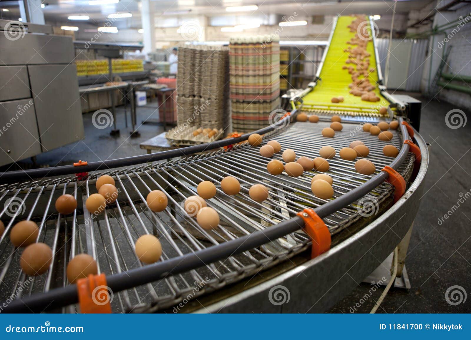 eggs production line