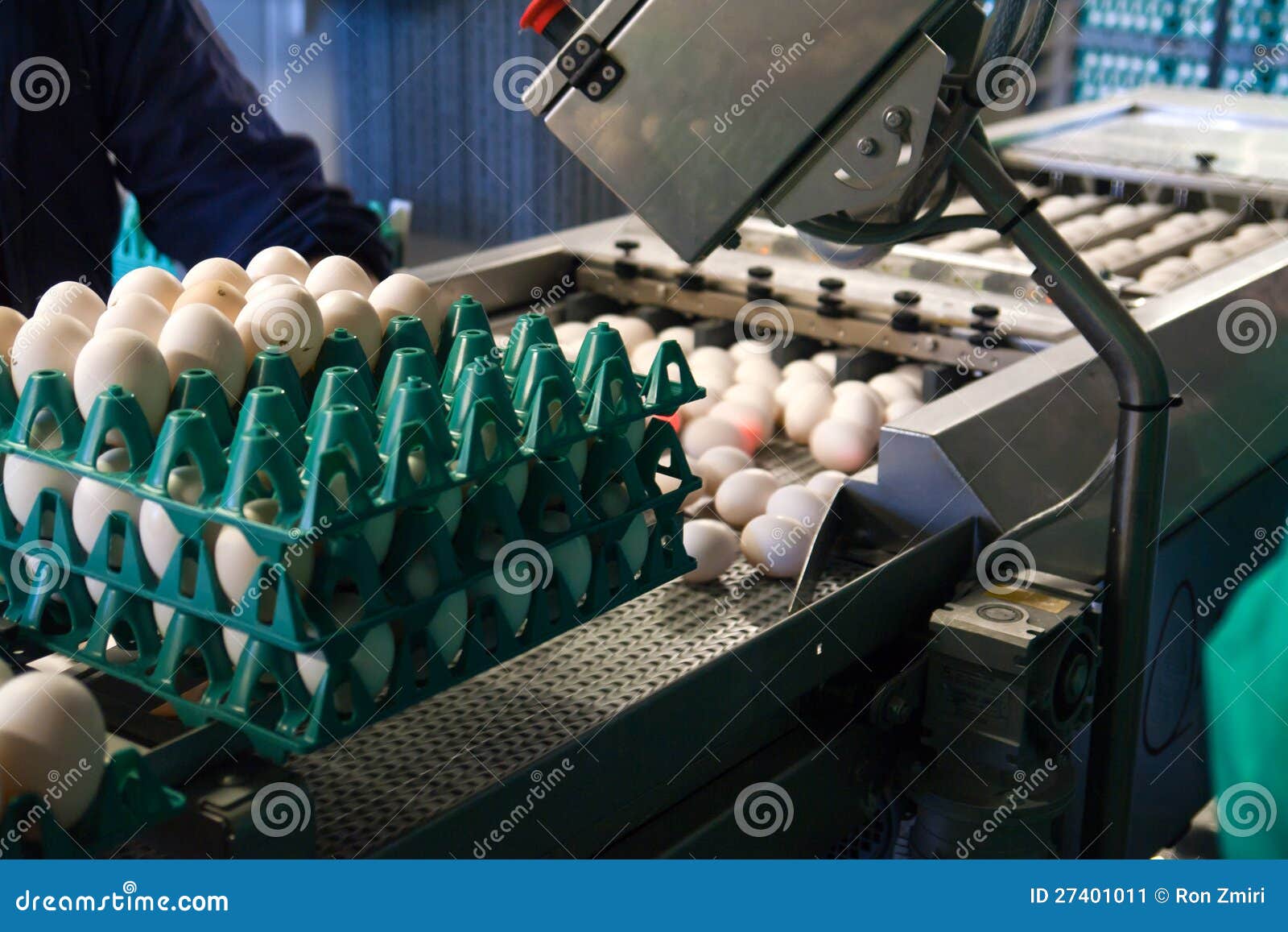 Eggs in a Production Line Packing Stock Image Image of packing