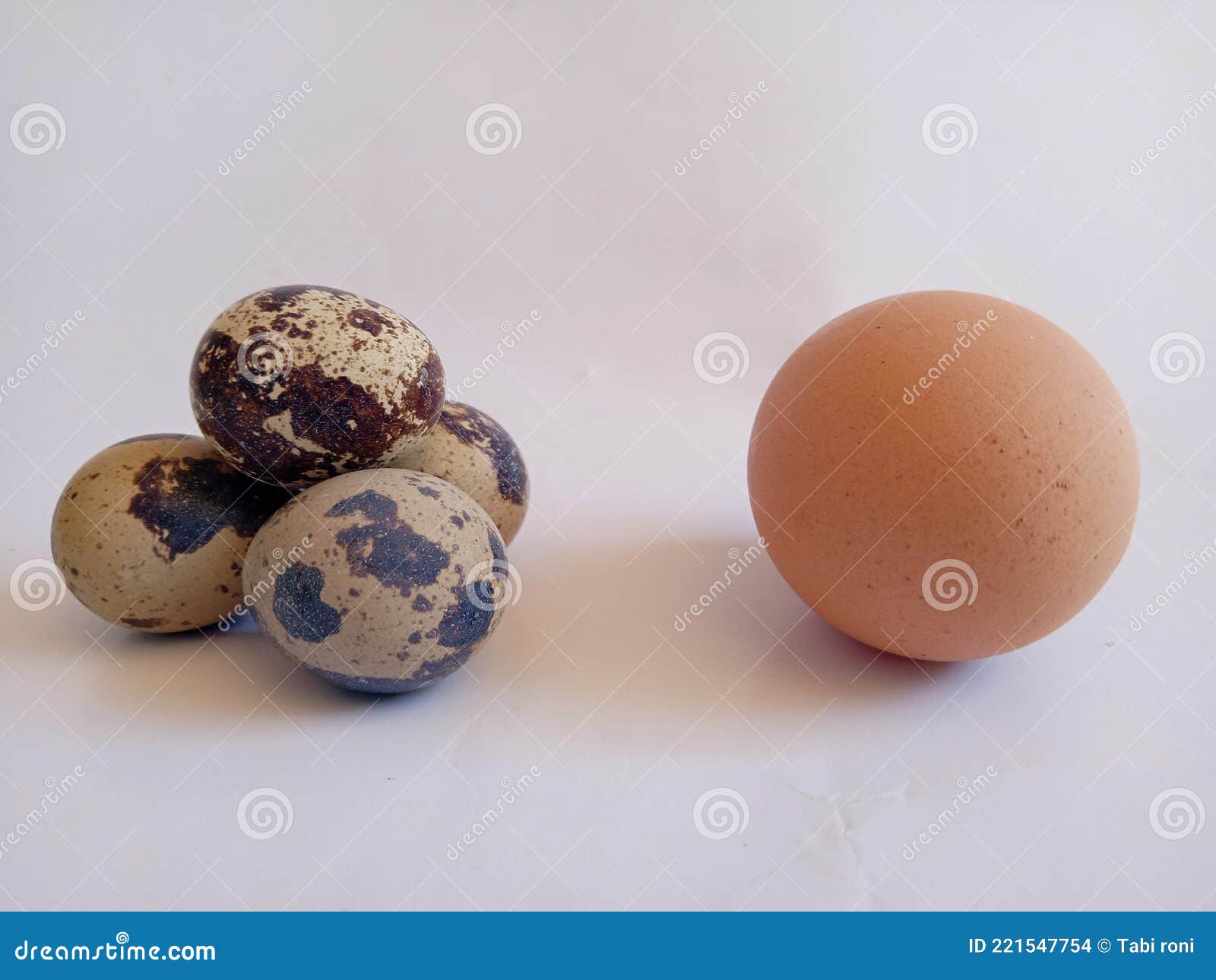 The Eggs of Quail Equal To a Egg of Chicken. Stock Photo Image of