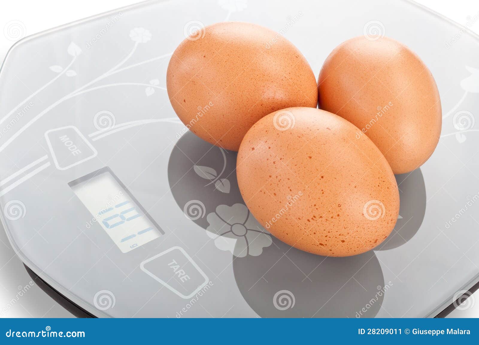 Chicken egg scale best sale