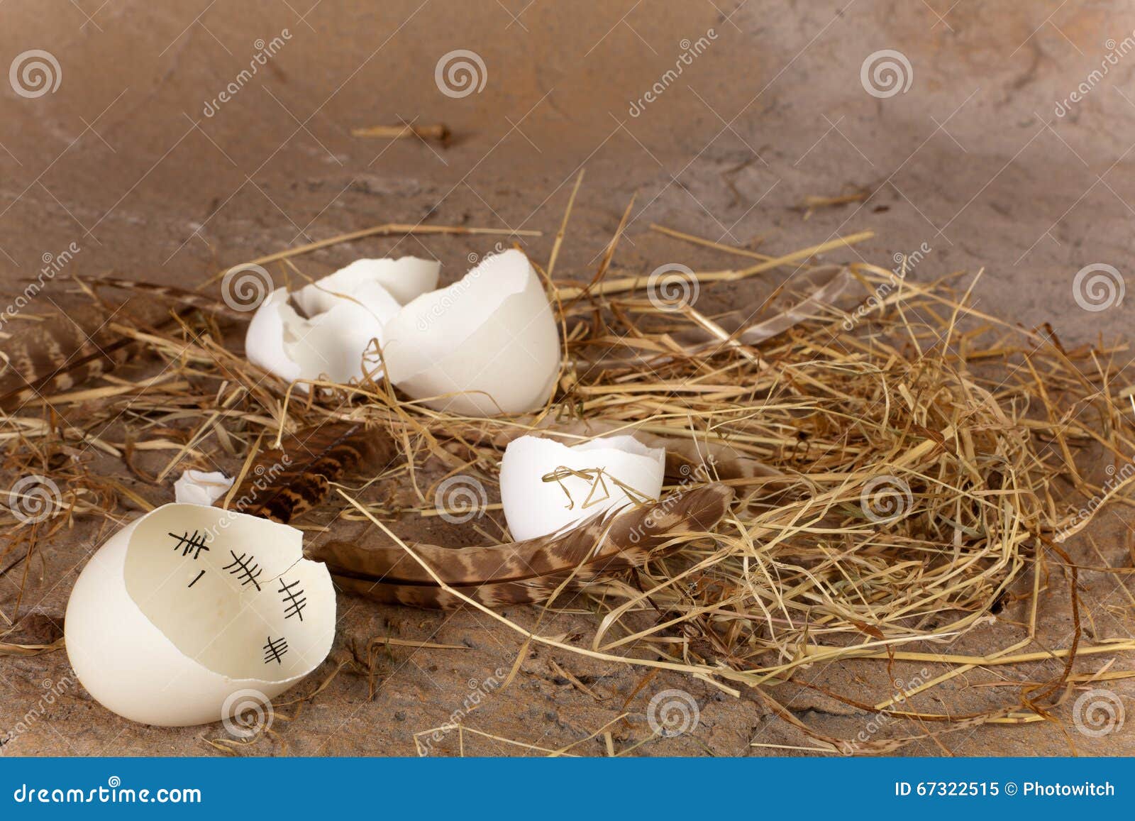 Eggshell with Counted Days Calendar Stock Image Image of closeup