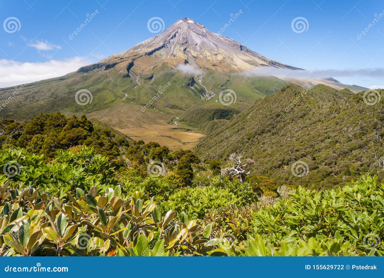 egmont national park with dormant stratovolcano mount taranaki in distance