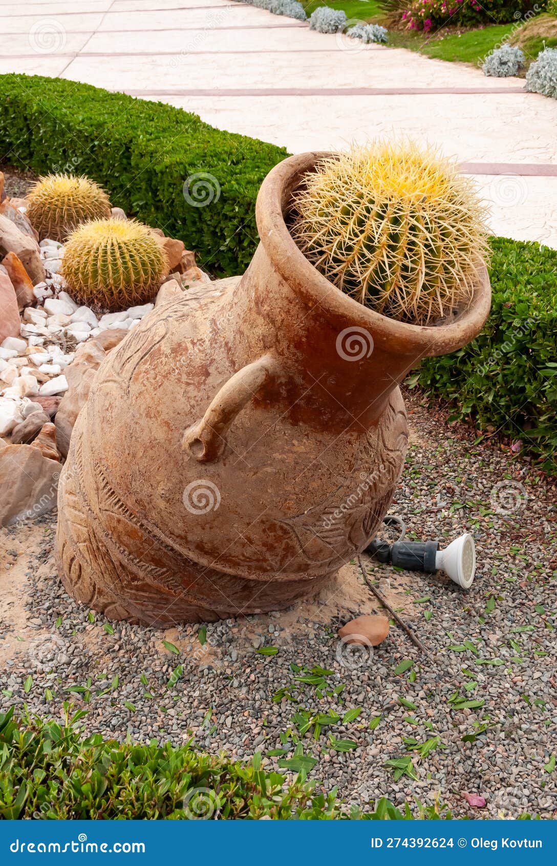 egypt - february 27, 2019: clay pots and cacti in a flowerbed in the interior and  of the courtyard of a hotel in marsa