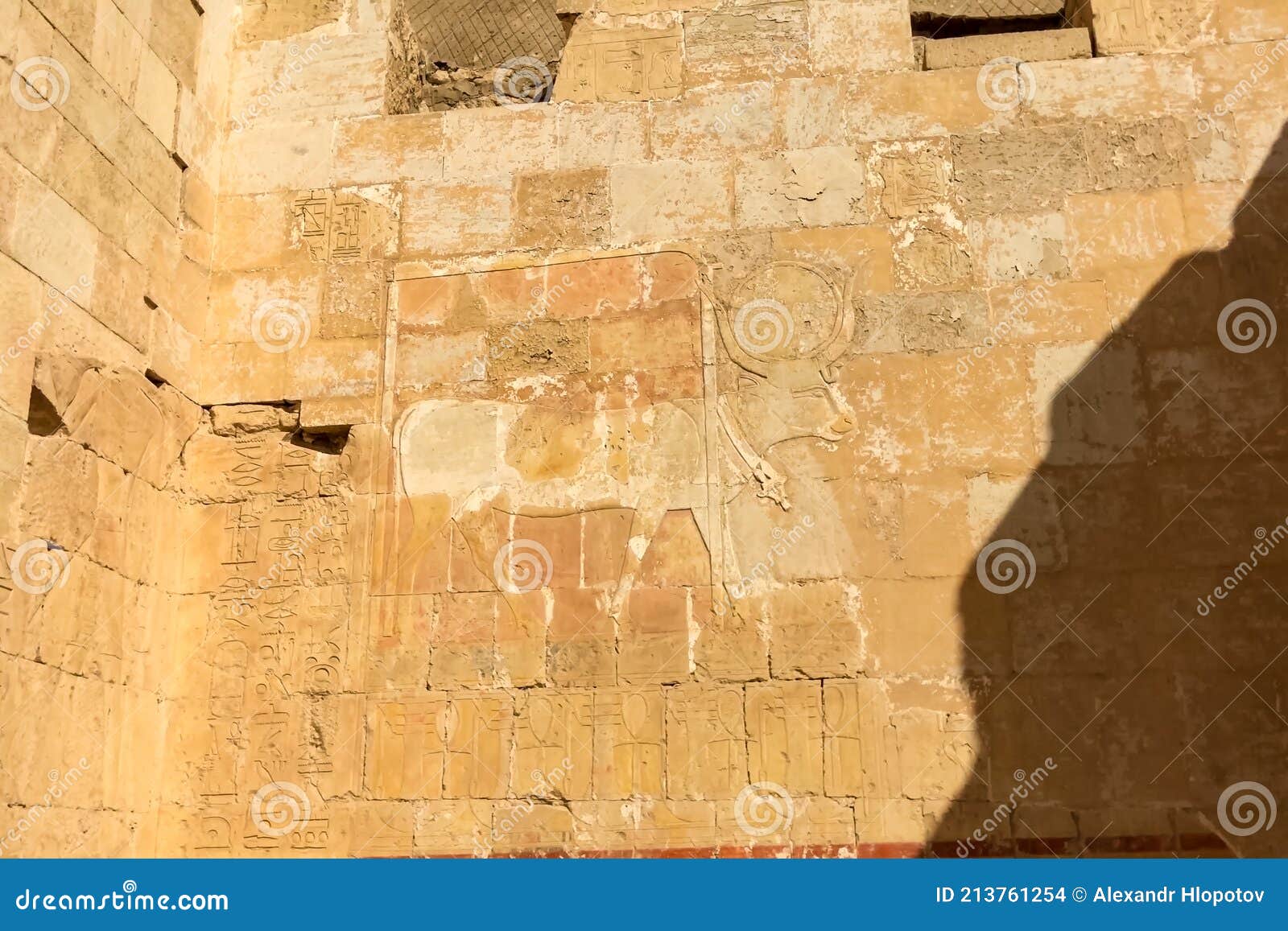 egyptian hieroglyphs and drawings on the walls and columns. egyptian language, the life of ancient gods and people in