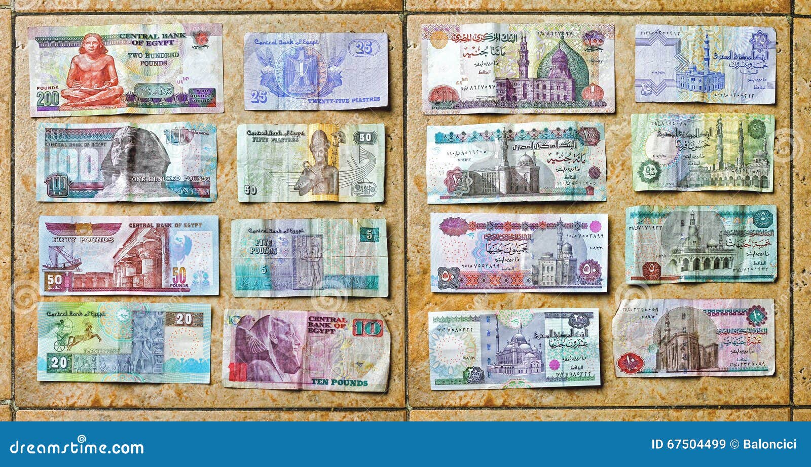Egyptian Pound egyptian-pound