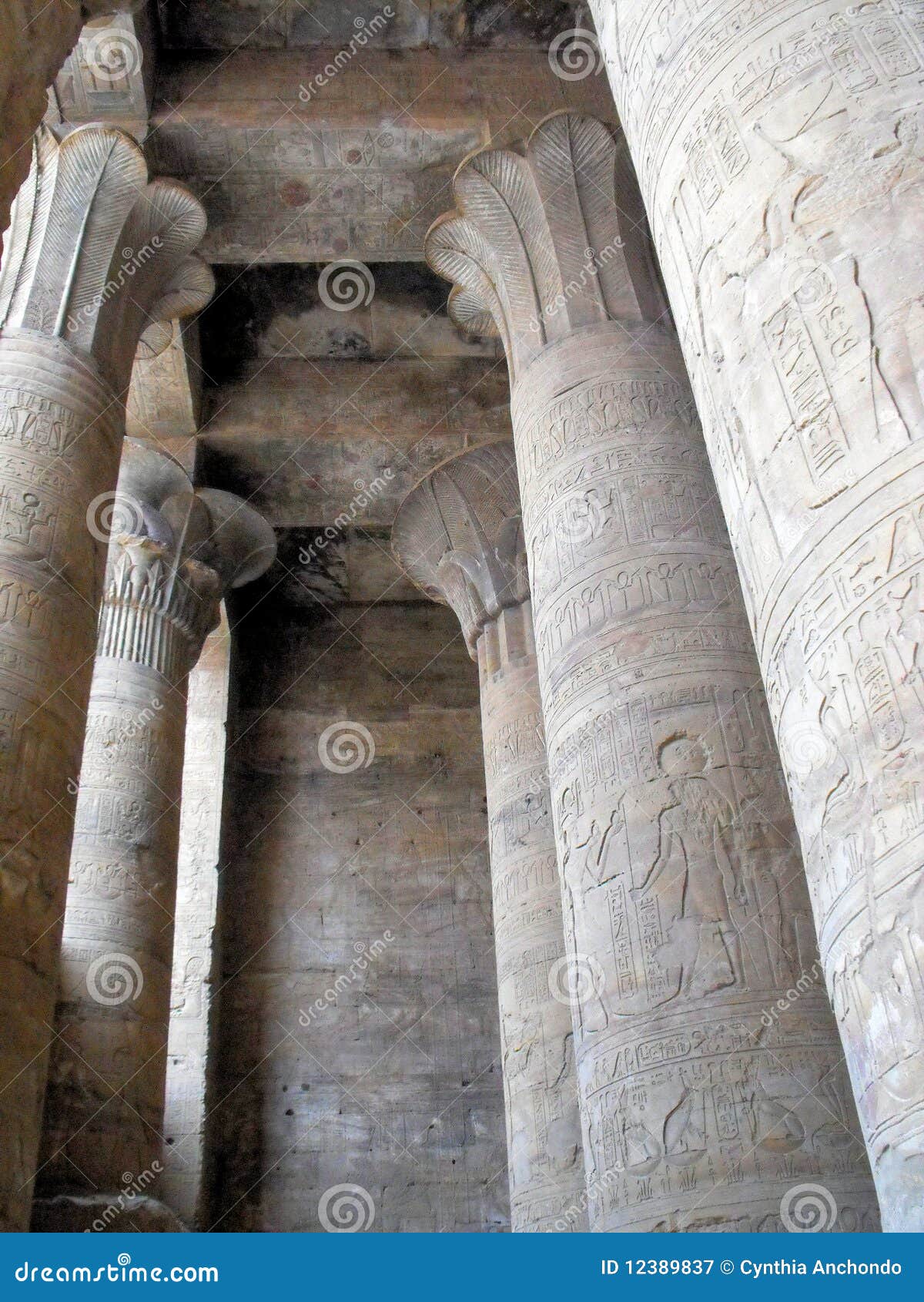 Egyptian Pillars stock image. Image of egypt, flower 12389837