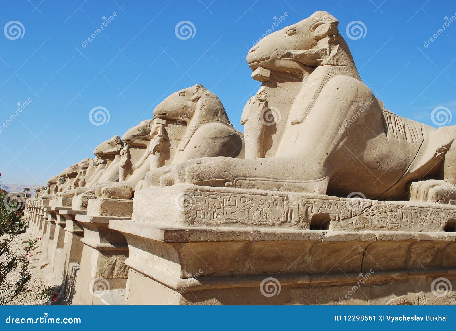 Egyptian Row of Sphinxes stock image. Image of hieroglyphs 12298561