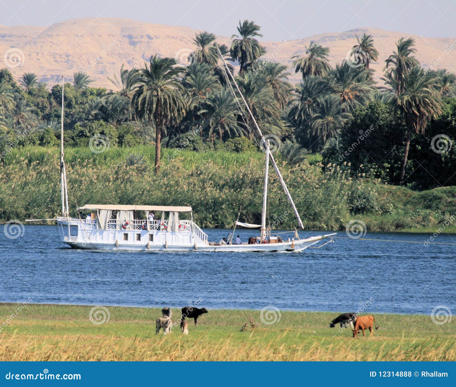 Egyptian sailing boat 2 stock photo. Image of egypt, river 12314888