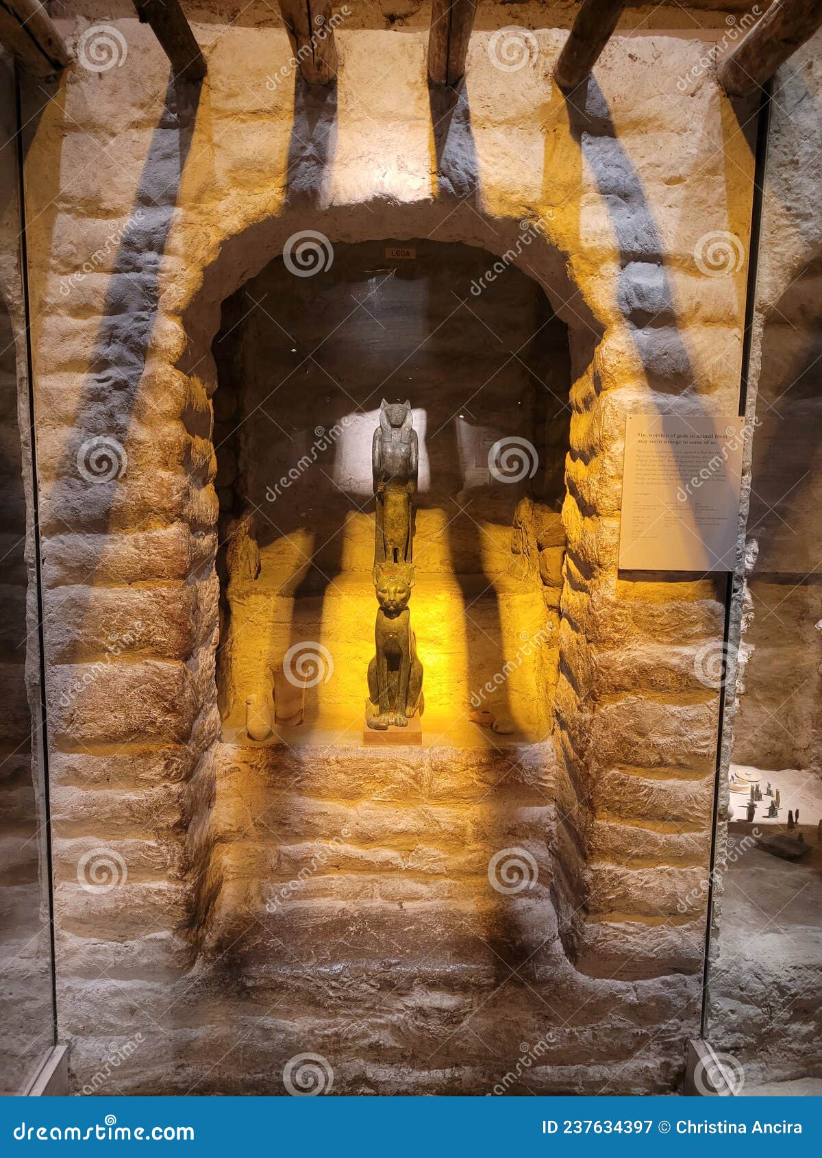 Egyptian Statue Exhibit at Field Museum in Chicago Editorial