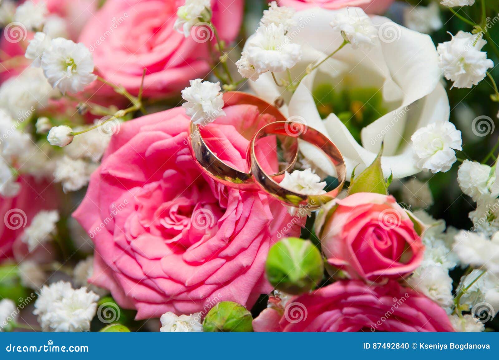 Eheringe Auf Den Rosen Stockfoto Bild Von Rosen Eheringe