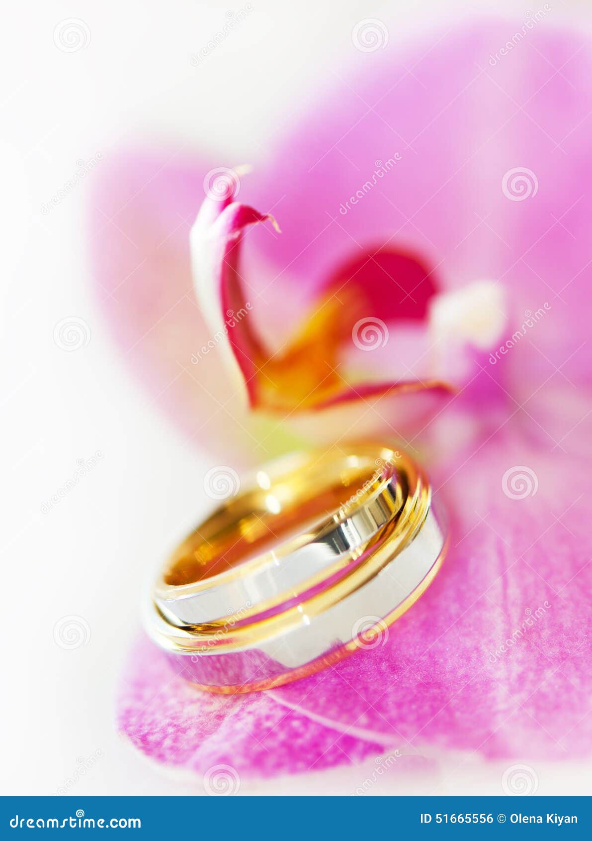 Eheringe Auf Einer Orchidee Stockfoto Bild Von Orchidee Eheringe