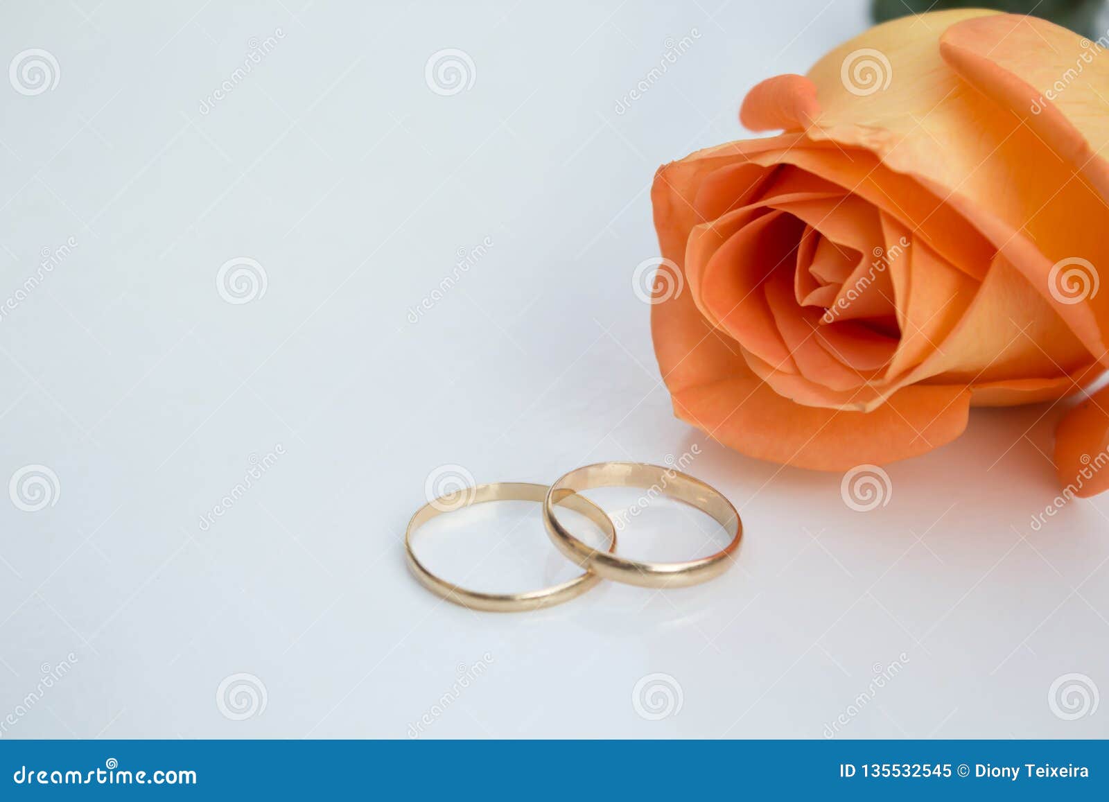 Eheringe Mit Orange Rose Auf Weissem Hintergrund Stockbild Bild Von Weissem Rose