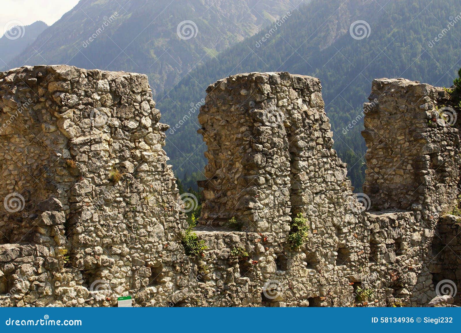 Ehrenberg Castle Ruins stock photo. Image of alpine, countryside 58134936