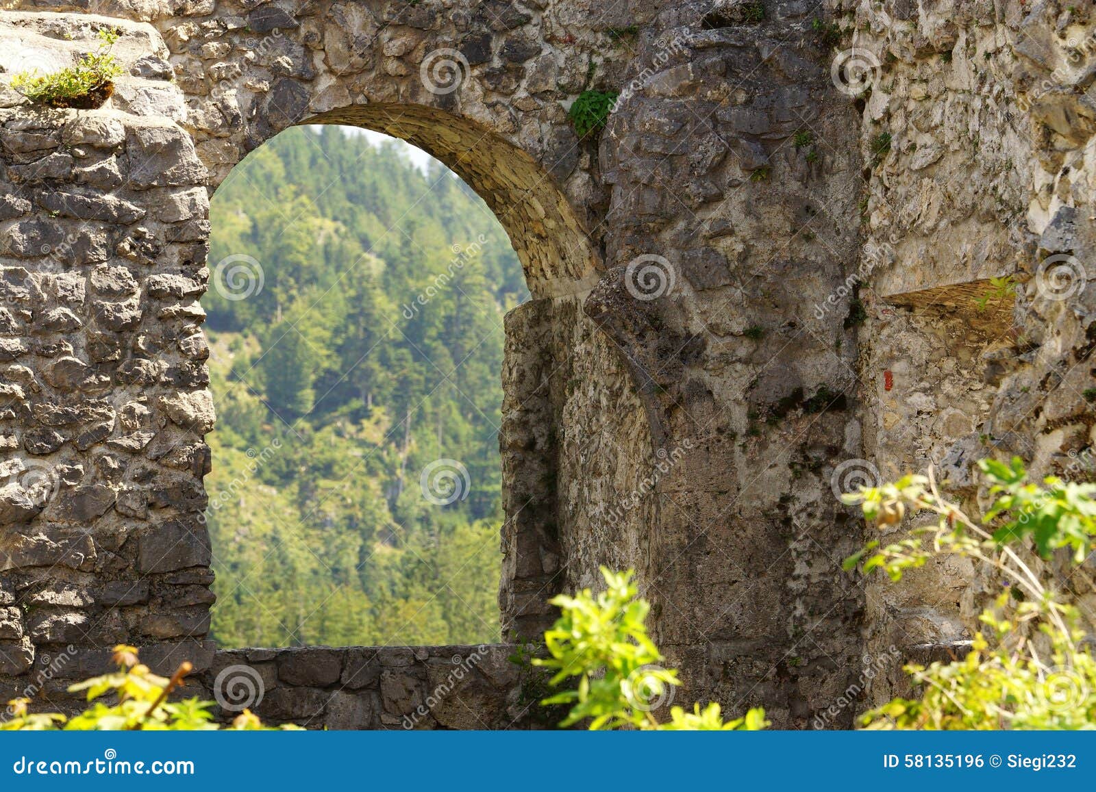 Ehrenberg Castle Ruins stock photo. Image of castle, history 58135196