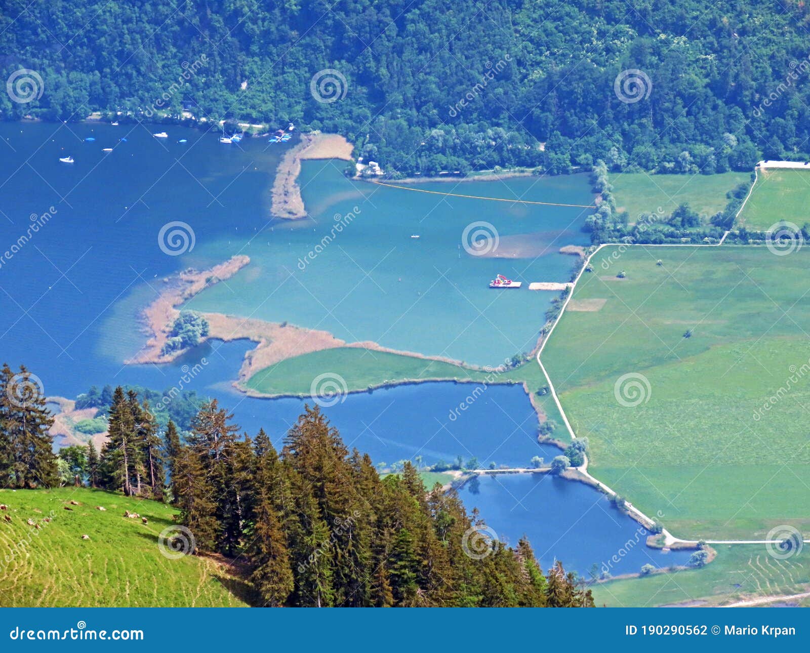 the eichiried alpnach nature reserve and the wetland area along lake alpnachersee, alpnachstad - canton of obwalden, switzerland