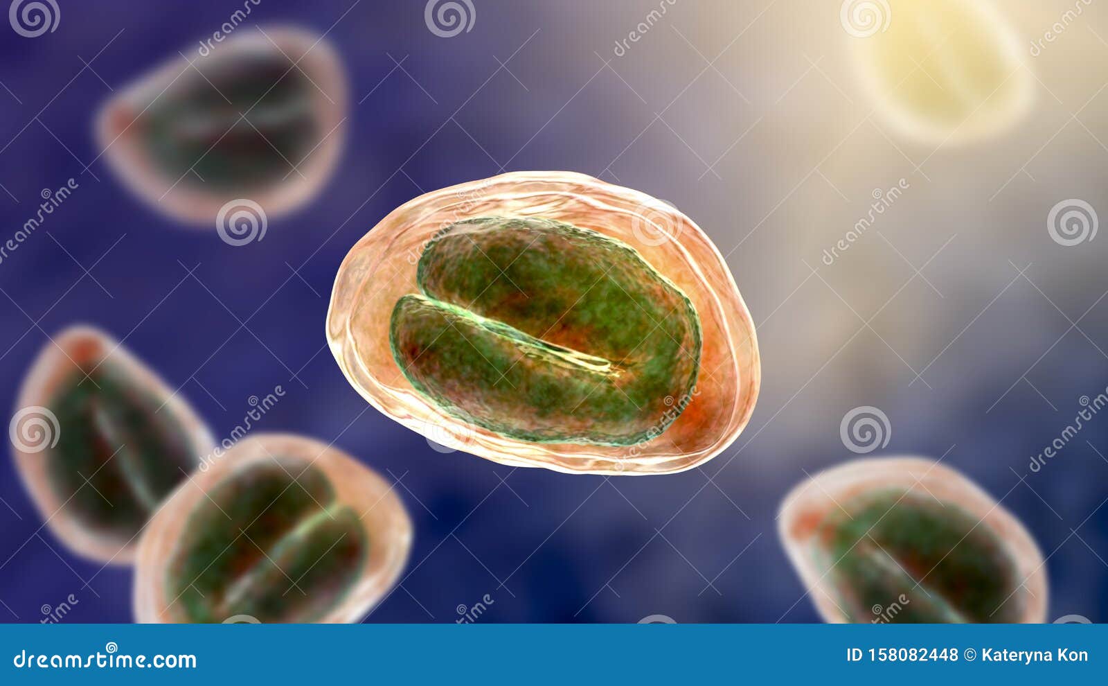 enterobiosis helminthiasis