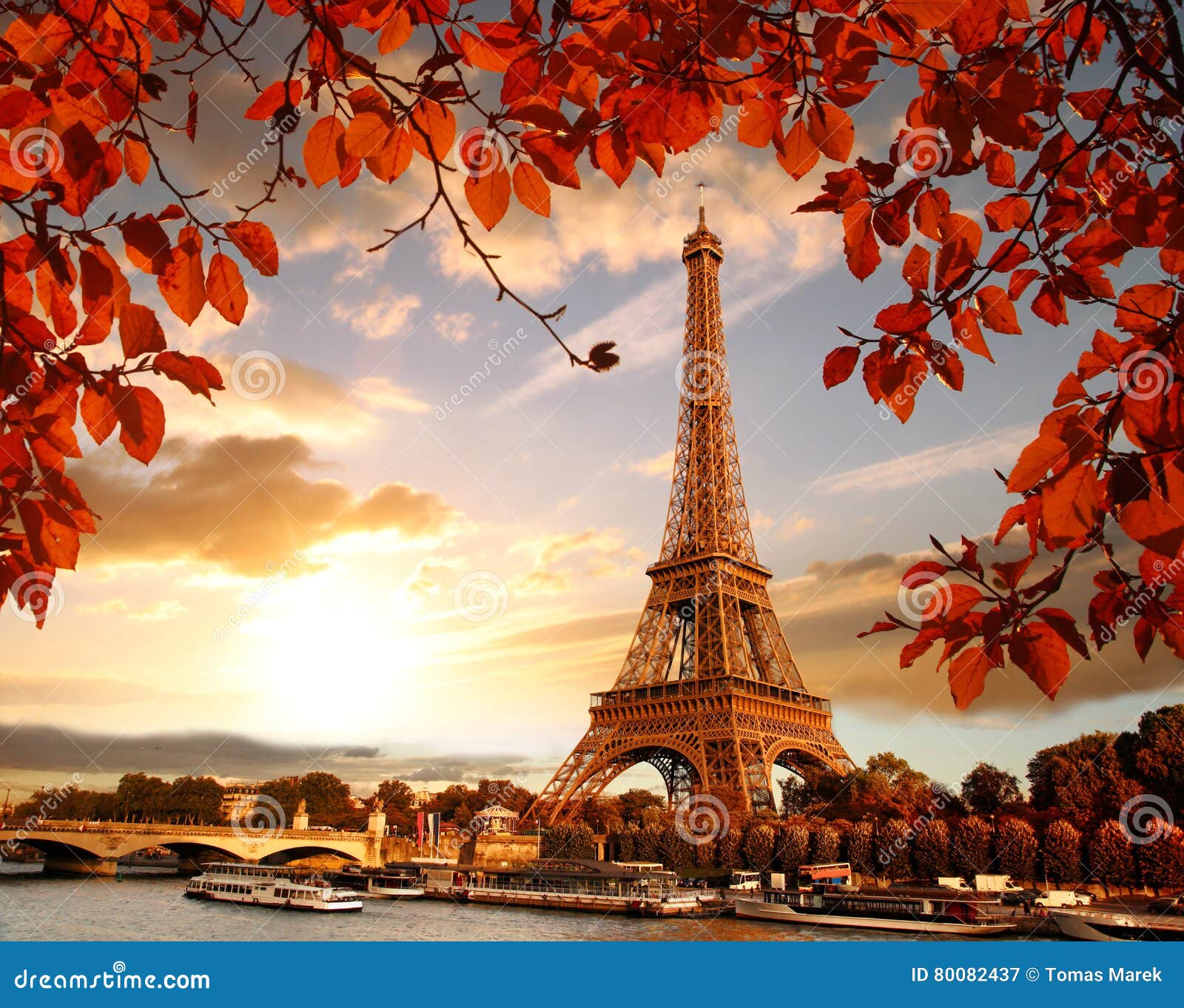 eiffel tower with autumn leaves in paris, france
