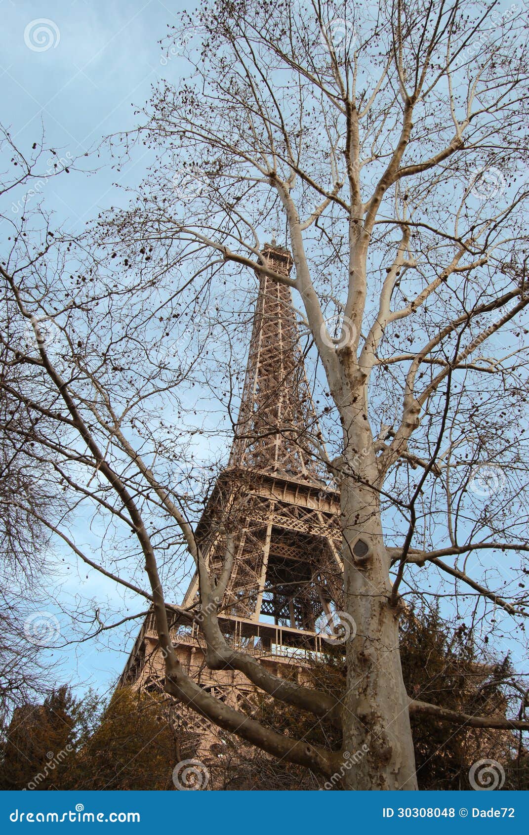 Eiffel tower concealed among the trees.