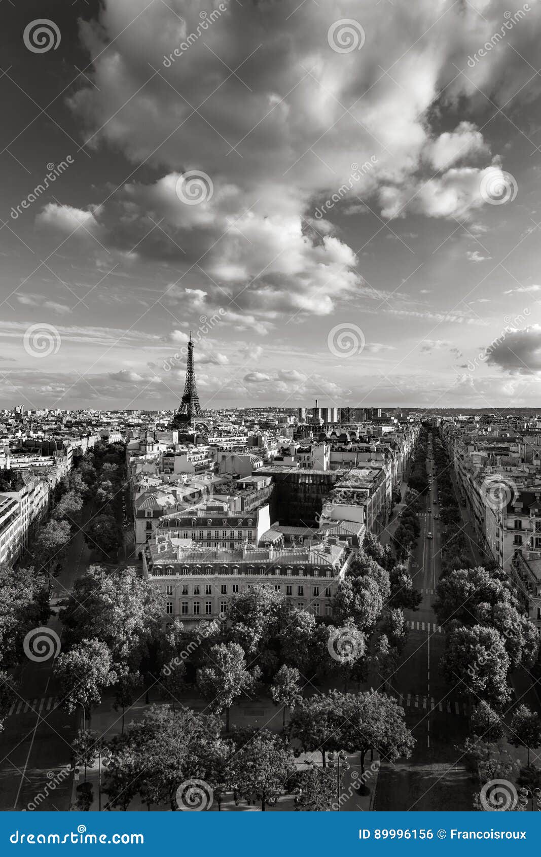 eiffel tower and paris avenues in black & white. france