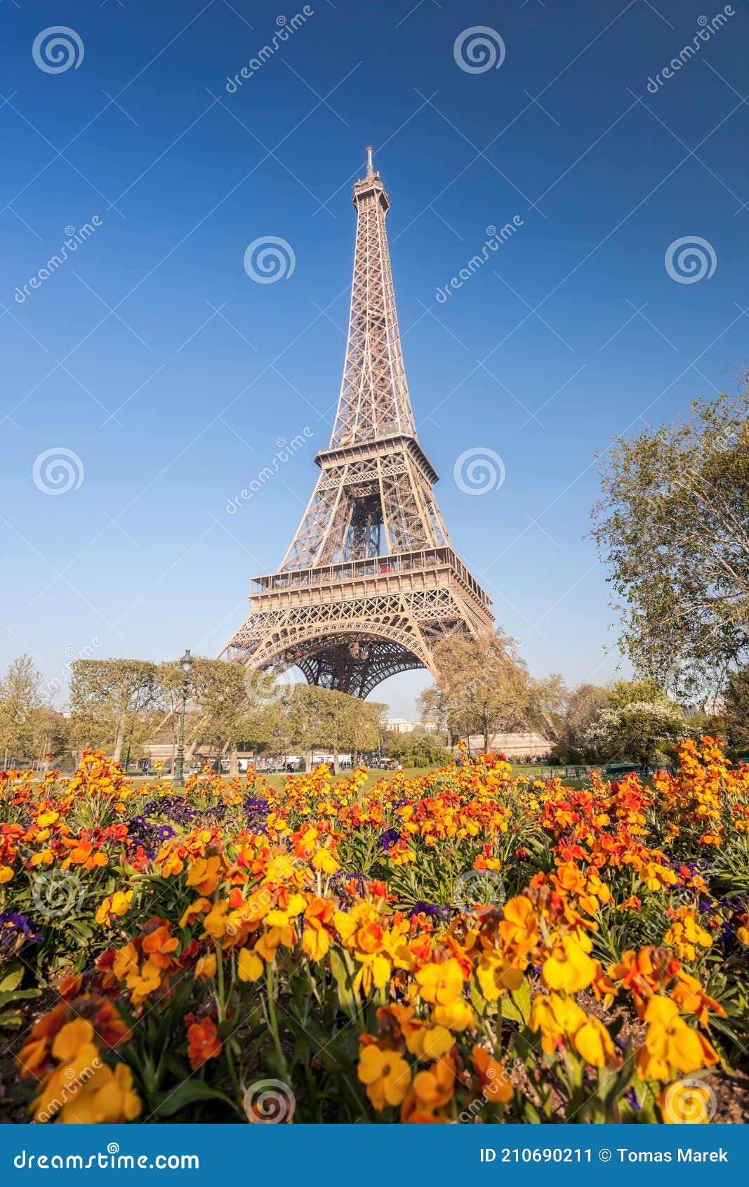 Eiffel Tower with Spring Flowers in Paris, France Stock Image Image