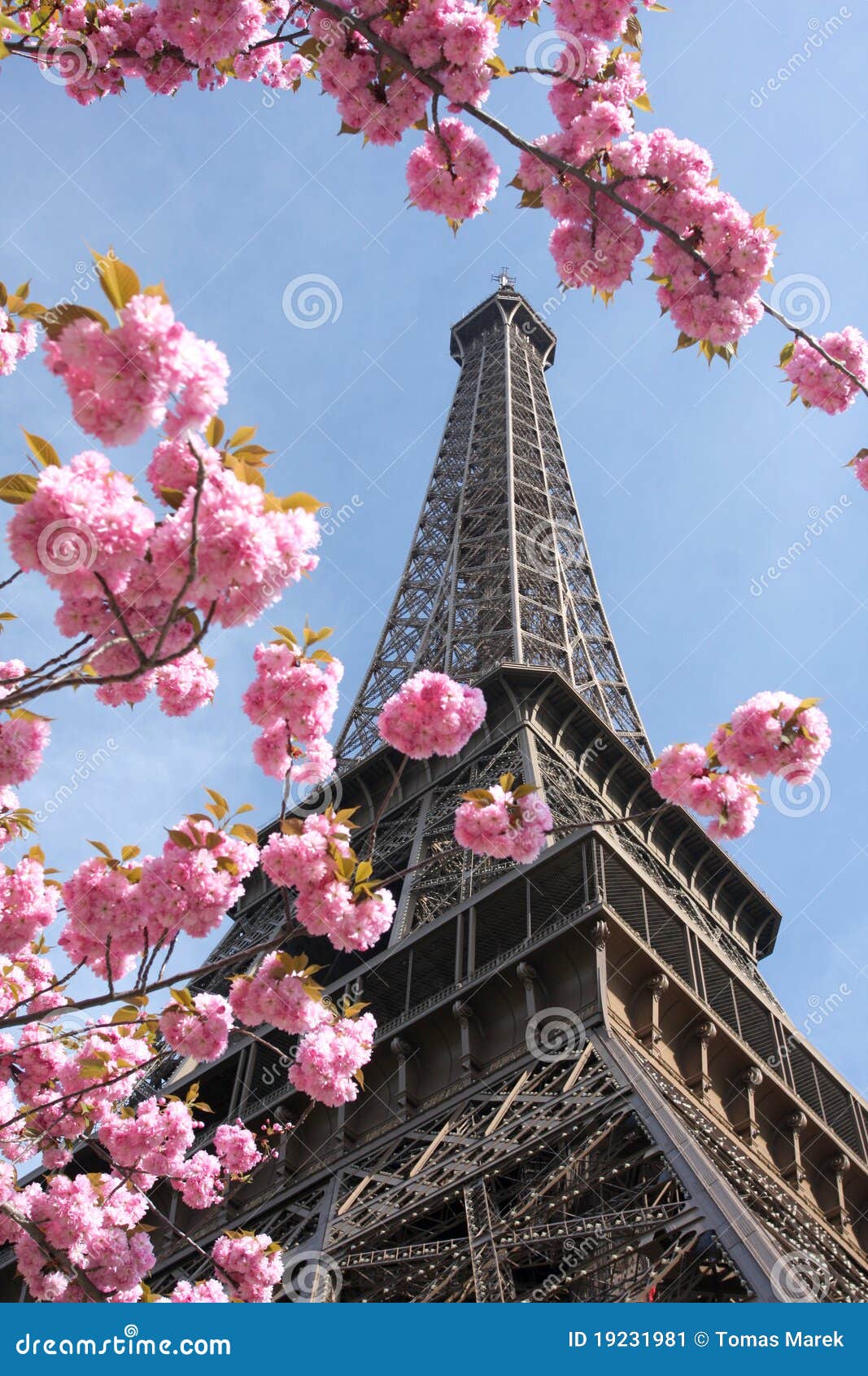 Eiffel Tower In Spring, Paris, France Stock Image - Image: 19231981