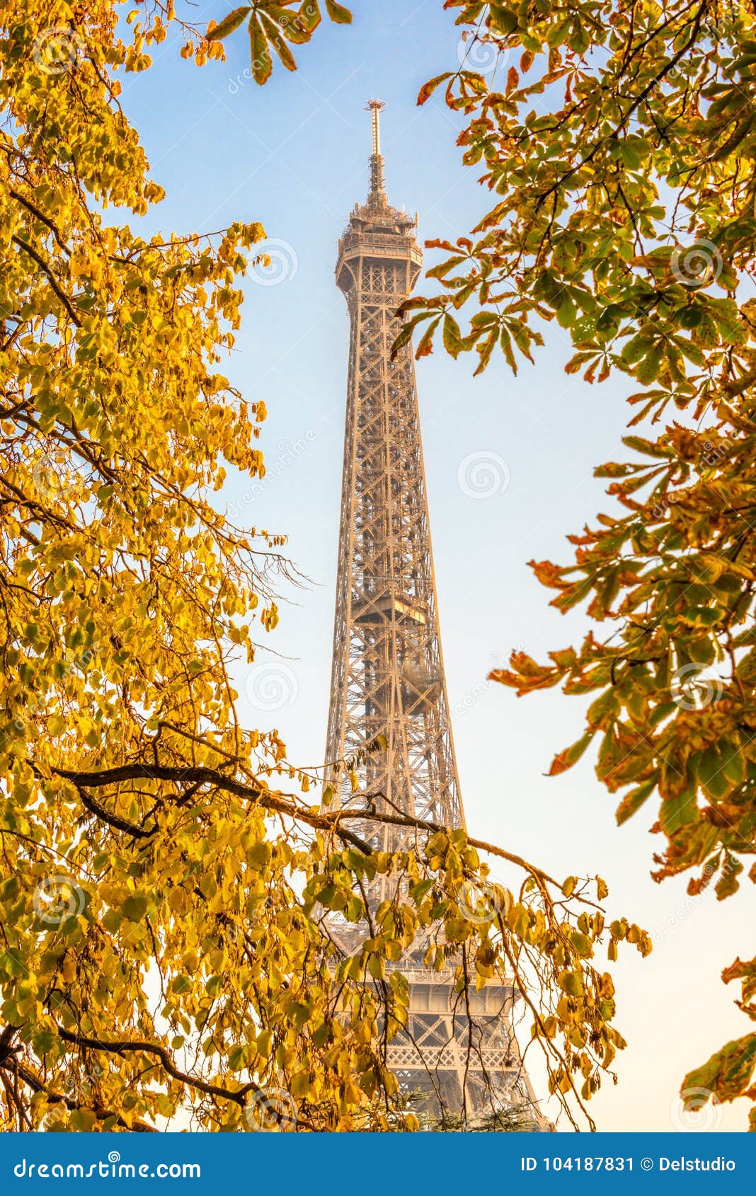Eiffel Tower, Yellow Automnal Trees, Paris France Stock Image - Image