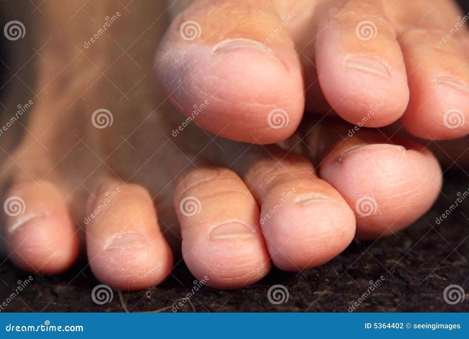 Eight toes stock photo. Image of ethnic, ethnicity, class 5364402