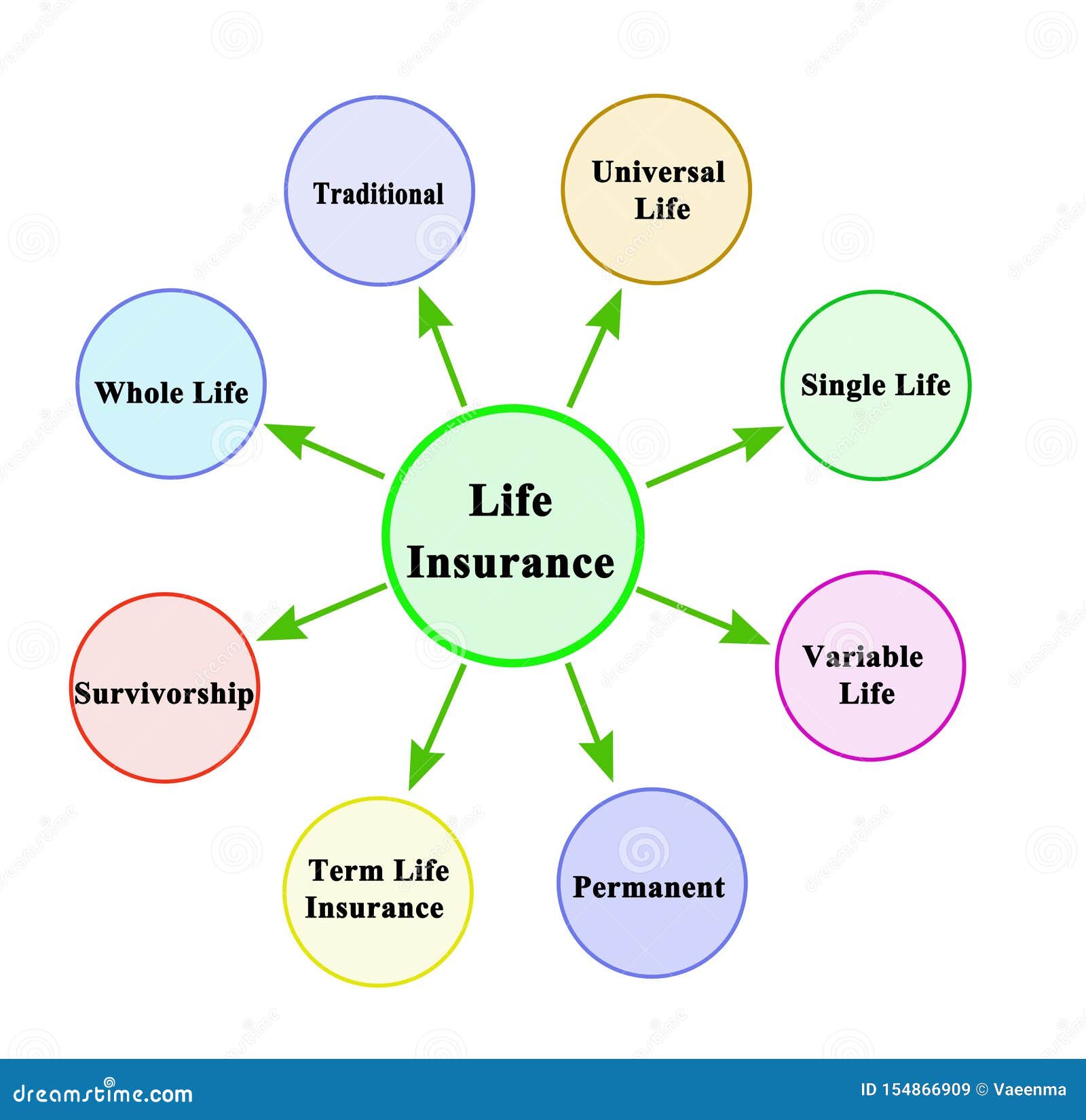 Different Types Of Life Insurance Chart