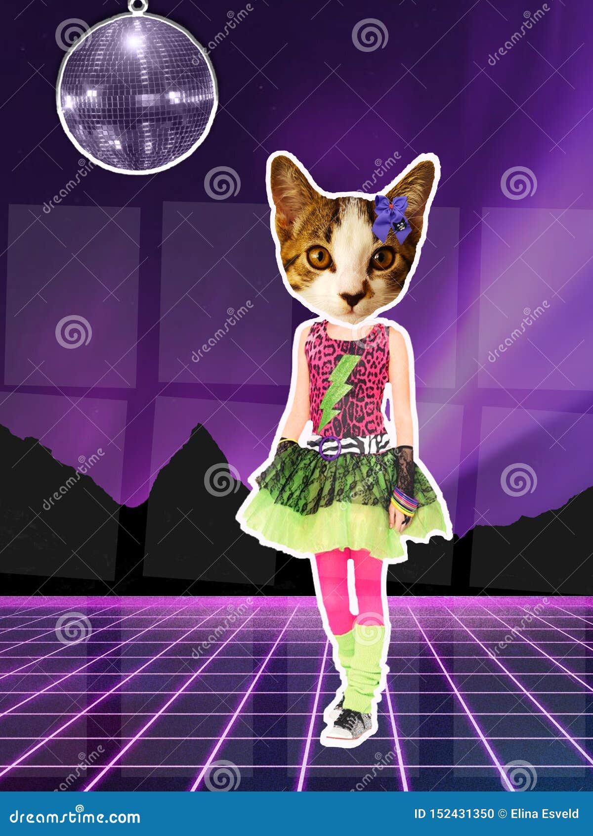disco ball cat
