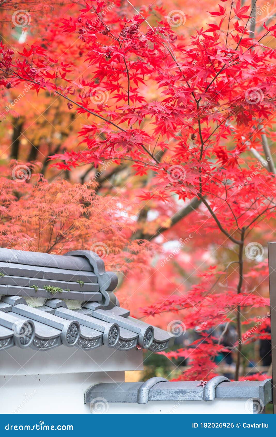 Eikando Temple At Autumn Maple Season Japan Maple Momiji Season Image Maple Leaves At Stone Ladder Stock Photo Image Of Maple Kansai